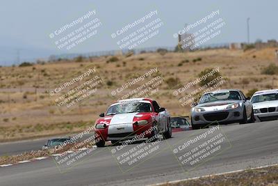 media/May-03-2025-Lucky Dog Racing (Sat) [[206de64b9d]]/Turn 6 (150pm-230pm)/